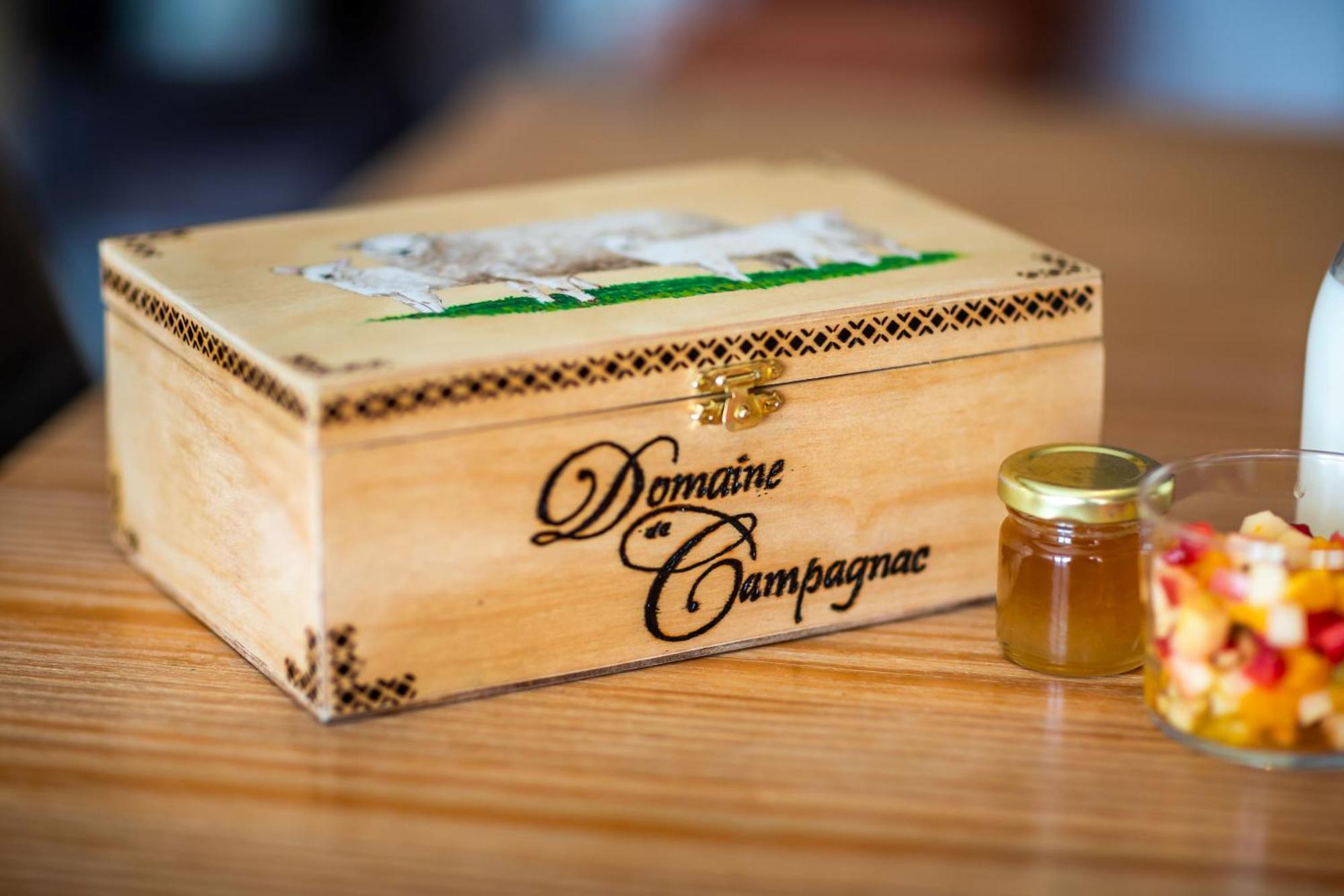Domaine De Campagnac - Spa & Sauna Carsac-Aillac Εξωτερικό φωτογραφία