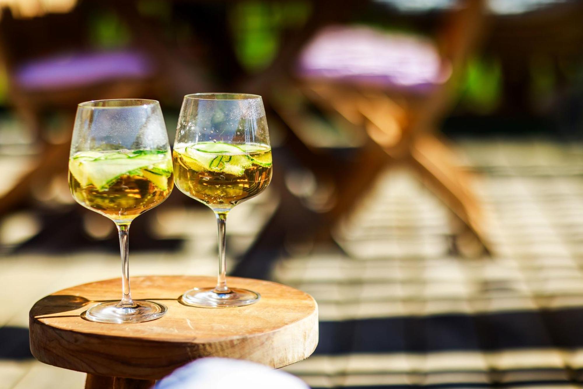 Domaine De Campagnac - Spa & Sauna Carsac-Aillac Εξωτερικό φωτογραφία